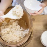 園内の様子122